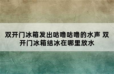 双开门冰箱发出咕噜咕噜的水声 双开门冰箱结冰在哪里放水